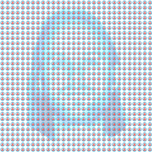 blotter