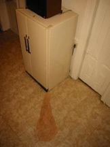 fridge