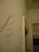 hair5