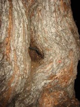 hole