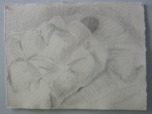 sleep